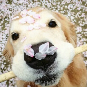 欧美色图综合网
